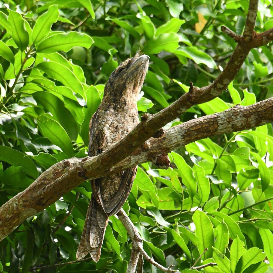 Alter Native Stay Tapokreng Ngoại thất bức ảnh